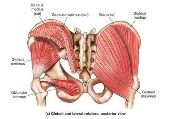 how-to-make-your-buttocks-bigger-fast-naturally